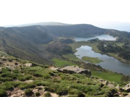 Las casas del parque retoman su actividad