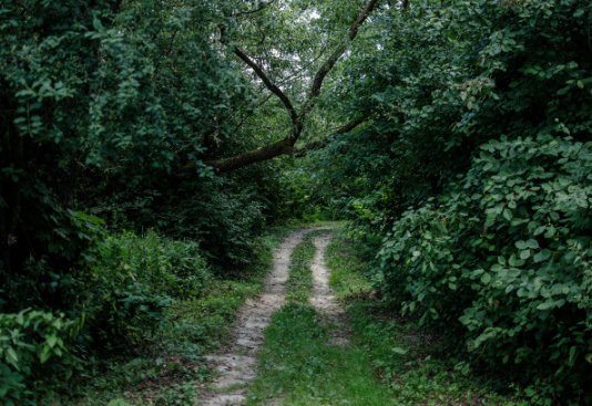 Lugares al aire libre que visitar en Segovia