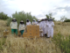 Jornadas de iniciación a la apicultura