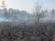 Investigado por un incendio forestal en La Losa que arrasó una hectárea