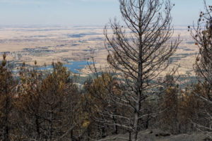 Los embalses del Pontón Alto y Linares del Arroyo están al 68% de su capacidad