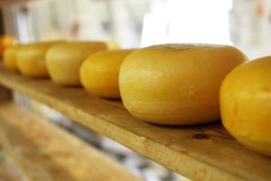 Curso de elaboración de quesos en Armuña