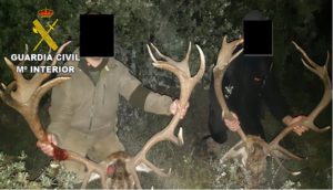 Seis investigados por organizar batidas de caza en zonas protegidas de Ávila, Segovia y Toledo