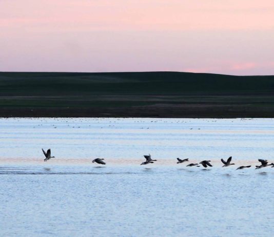 ¿De dónde viene la salinidad de las lagunas de Villafáfila?