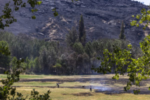 Se elevan a 20.000 las hectáreas quemadas en el incendio de Navalacruz