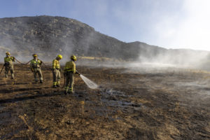 La Junta cifra en 21.993,4 las hectáreas afectadas por el incendio de Navalacruz y Cepeda de la Mora