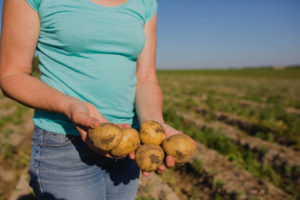 Convocado el I premio de relatos cortos ‘Alimenta Conciencia’