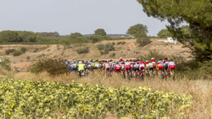Maderuelo, Sacramenia y Valtiendas en la ruta de la Vuelta Ciclista Junior a la Ribera del Duero