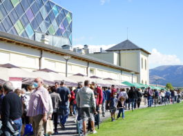Este domingo, tienes una cita con Alimentos de Segovia y La Faisanera