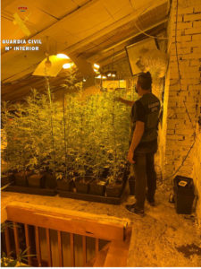 Desmantelada una plantación de cannabis en Navafría