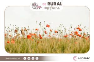 La empresa segoviana Innoporc pone en marcha la iniciativa ‘Be rural, my friend’
