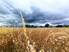 ¿Qué tiempo va a hacer para ir a votar en Castilla y León?