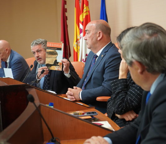 Pleno mes de abril diputacion