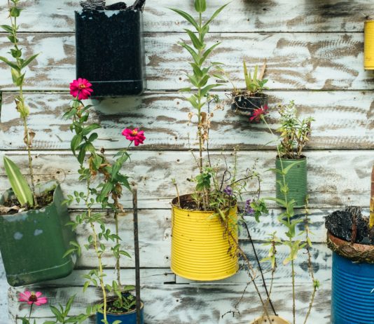 Segovia apuesta por la economía circular y el reciclaje