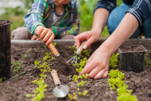 El programa de educación ambiental ‘Enreda en verde’ se inicia con unas jornadas de iniciación a la horticultura