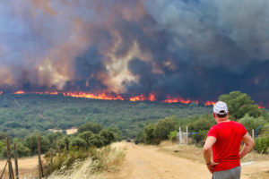 1.657 incendios en Castilla y León en lo que va de año
