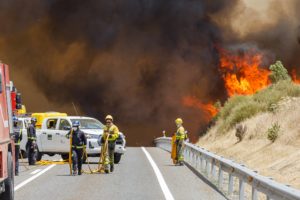 Castilla y León arde: Registra 165 incendios en una semana