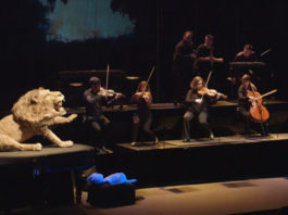 Museg y Titirimundi presentan este fin de semana ‘Soñando el Carnaval de los Animales’