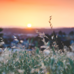 Cinco atardeceres en pueblos desconocidos segovianos