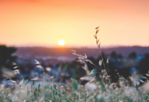 Cinco atardeceres en pueblos desconocidos segovianos