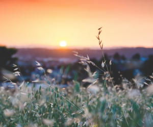 Cinco atardeceres en pueblos desconocidos segovianos