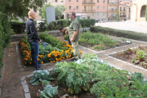Micro-huertas cerca del Acueducto