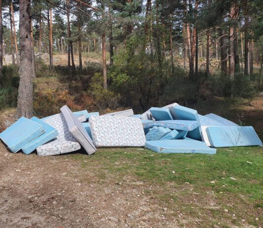 50 colchones abandonados en el monte