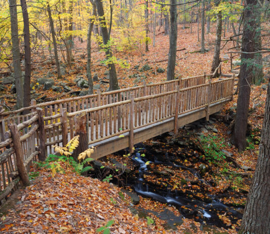 Bosques de colores en Segovia