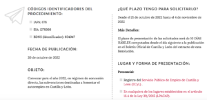 Ayudas de hasta 5000 euros para autónomos de Castilla y León