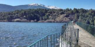 Recrecer Puente Alta para garantizar el agua