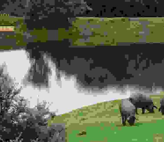 La Junta invertirá 10 millones en siete proyectos empresariales que supondrán 1.300 empleos