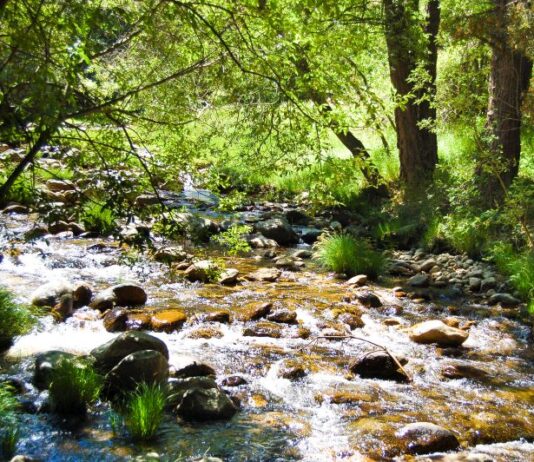 río más largo de Segovia