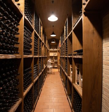 vinos y castillos por Segovia