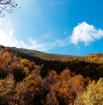 Caminos naturales por Riaza