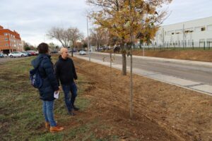 Finaliza la plantación de árboles en Nueva Segovia