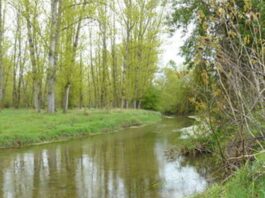 Aviso amarillo en un río de Segovia Aviso río Segovia