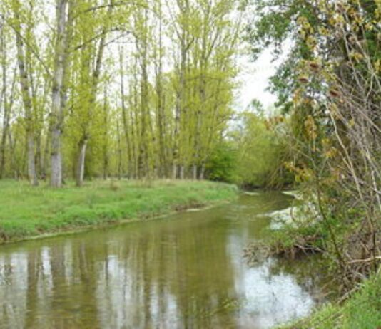 (Actualización)La CHD elimina el nivel amarillo en el río Riaza Aviso río Segovia