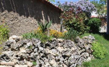 Un arrecife de coral de 86 millones de años en un pueblo de Segovia