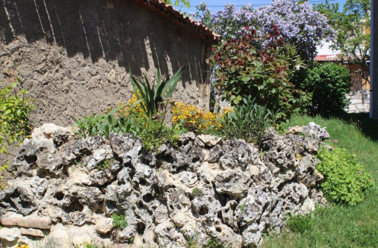 Un arrecife de coral de 86 millones de años en un pueblo de Segovia