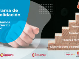 Diagnósticos personalizados para emprendedores