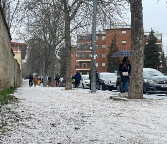 Segovia registra la mínima de Castilla y León