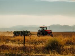 emprender en el medio rural