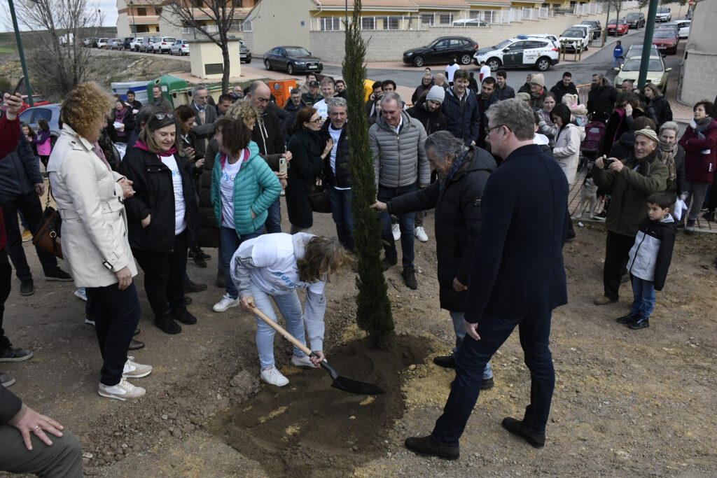 Un nuevo bosque de Bernuy de Porreros Segoviaudaz.es
