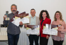 Segovia triunfa en los Premios Artesano del Año