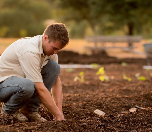 Subvenciones de la Junta para fijar población