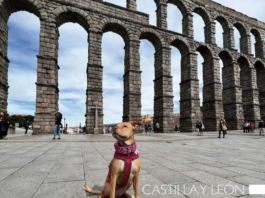 Travelguau descubre Segovia