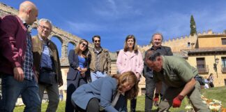 Tulipanes por el Parkinson en Segovia