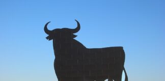 toro de Osborne tiene raíces segovianas
