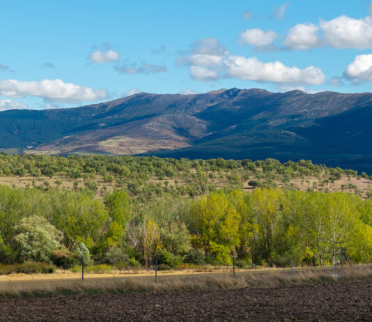 San Quirce contra la mina