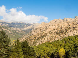 en tren por la Sierra de Guadarrama